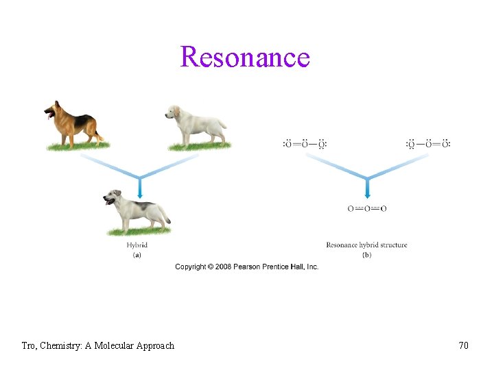 Resonance Tro, Chemistry: A Molecular Approach 70 