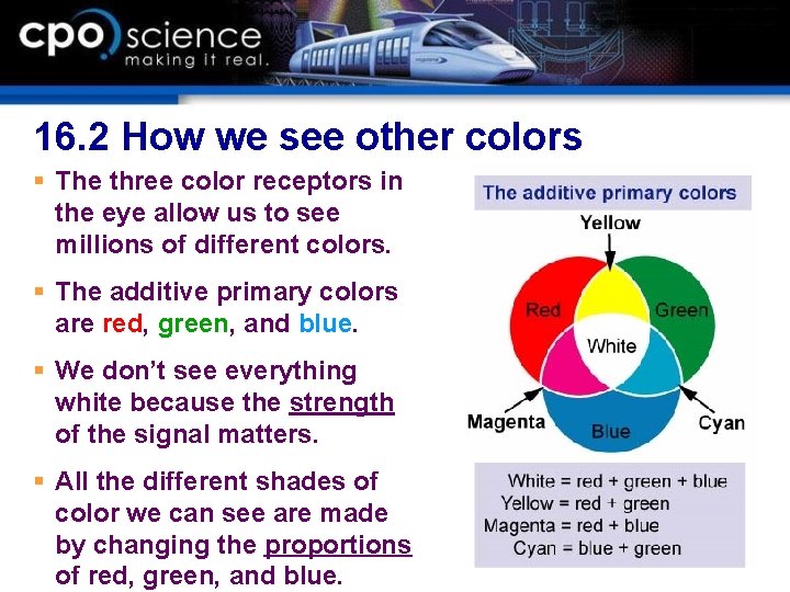 16. 2 How we see other colors § The three color receptors in the 16. 2 How we see other colors § The three color receptors in the
