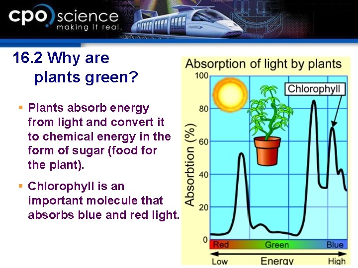 16. 2 Why are plants green? § Plants absorb energy from light and convert 16. 2 Why are plants green? § Plants absorb energy from light and convert