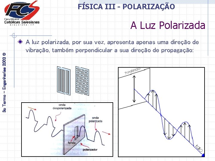 FÍSICA III - POLARIZAÇÃO 3 o Termo - Engenharias 2003 © A Luz Polarizada