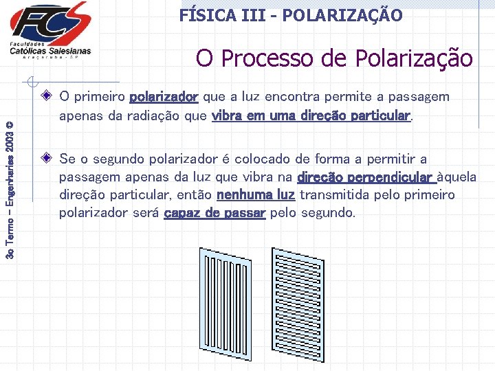 FÍSICA III - POLARIZAÇÃO 3 o Termo - Engenharias 2003 © O Processo de