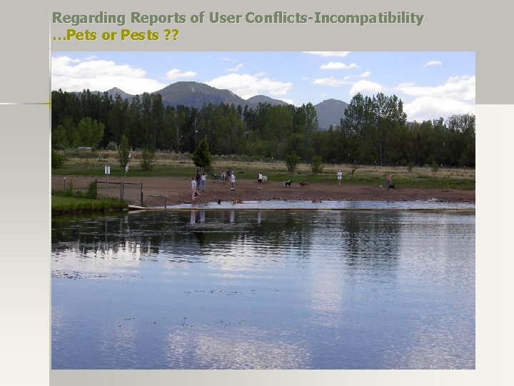 Regarding Reports of User Conflicts-Incompatibility …Pets or Pests ? ? Regarding Reports of User Conflicts-Incompatibility …Pets or Pests ? ?