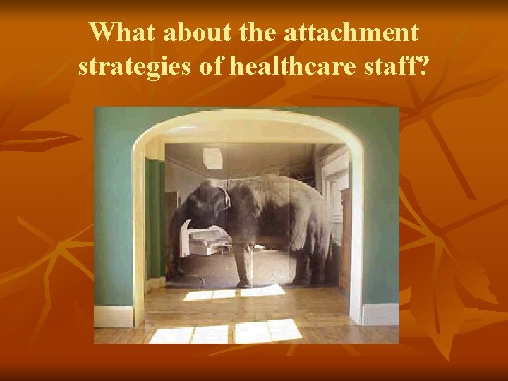 What about the attachment strategies of healthcare staff? 