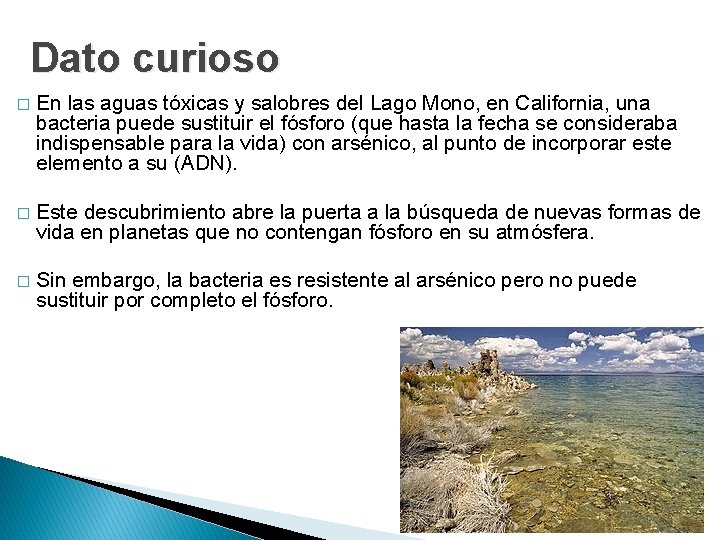 Dato curioso � En las aguas tóxicas y salobres del Lago Mono, en California,