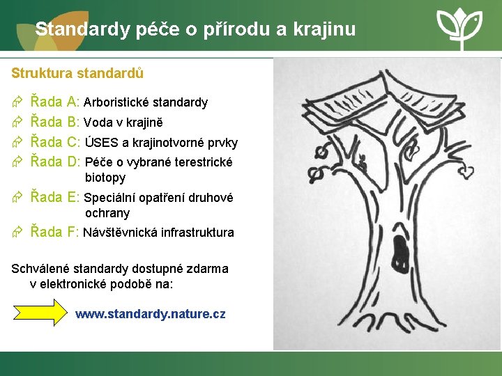 Standardy péče o přírodu a krajinu Struktura standardů Æ Æ Řada A: Arboristické standardy