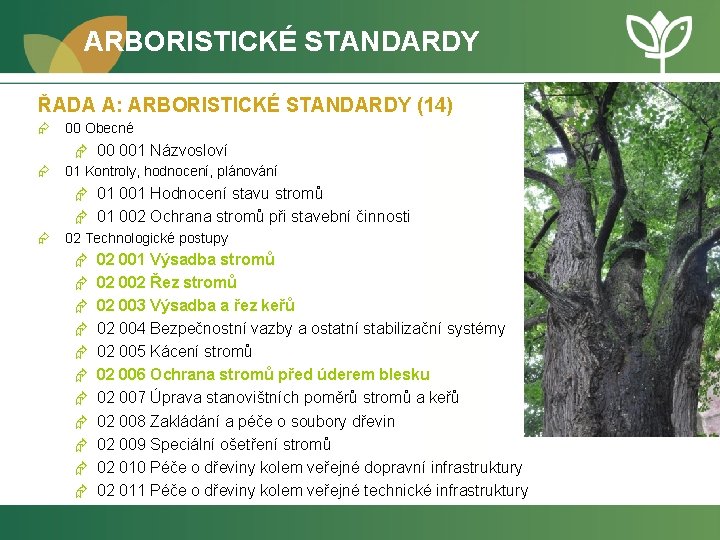 ARBORISTICKÉ STANDARDY ŘADA A: ARBORISTICKÉ STANDARDY (14) Æ 00 Obecné Æ 00 001 Názvosloví