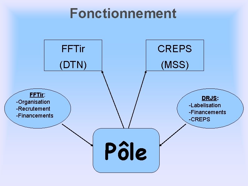 Fonctionnement FFTir CREPS (DTN) (MSS) FFTir: -Organisation -Recrutement -Financements DRJS: -Labelisation -Financements -CREPS Pôle Fonctionnement FFTir CREPS (DTN) (MSS) FFTir: -Organisation -Recrutement -Financements DRJS: -Labelisation -Financements -CREPS Pôle