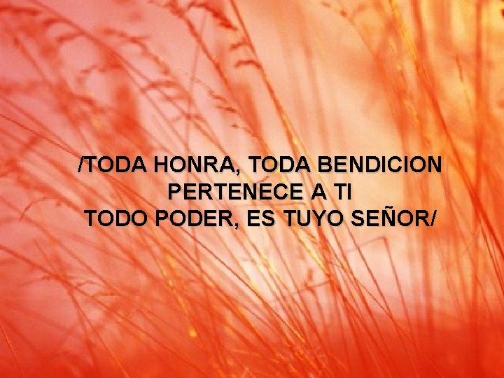 Santo (3) /TODA HONRA, TODA BENDICION PERTENECE A TI TODO PODER, ES TUYO SEÑOR/