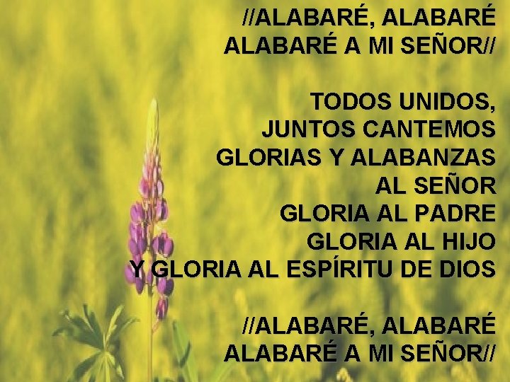 //ALABARÉ, ALABARÉ A MI SEÑOR// Alabaré (2) TODOS UNIDOS, JUNTOS CANTEMOS GLORIAS Y ALABANZAS