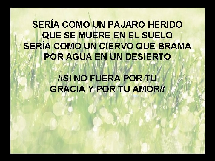 Que sería de mí (2) SERÍA COMO UN PAJARO HERIDO QUE SE MUERE EN