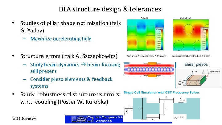 DLA structure design & tolerances • Studies of pillar shape optimization (talk G. Yadav)