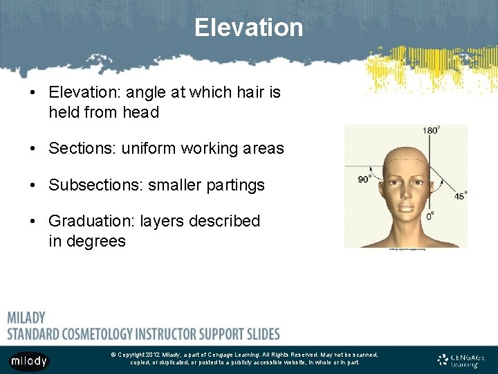 Elevation • Elevation: angle at which hair is held from head • Sections: uniform