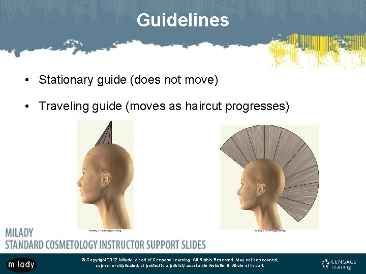 Guidelines • Stationary guide (does not move) • Traveling guide (moves as haircut progresses)