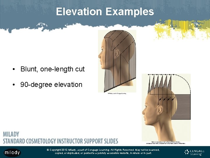 Elevation Examples • Blunt, one-length cut • 90 -degree elevation © Copyright 2012 Milady,