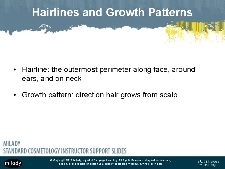 Hairlines and Growth Patterns • Hairline: the outermost perimeter along face, around ears, and