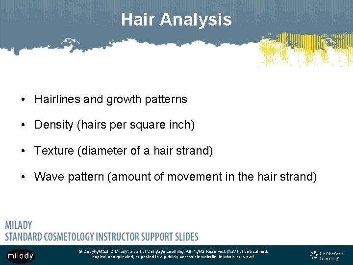 Hair Analysis • Hairlines and growth patterns • Density (hairs per square inch) •