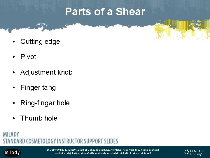 Parts of a Shear • Cutting edge • Pivot • Adjustment knob • Finger