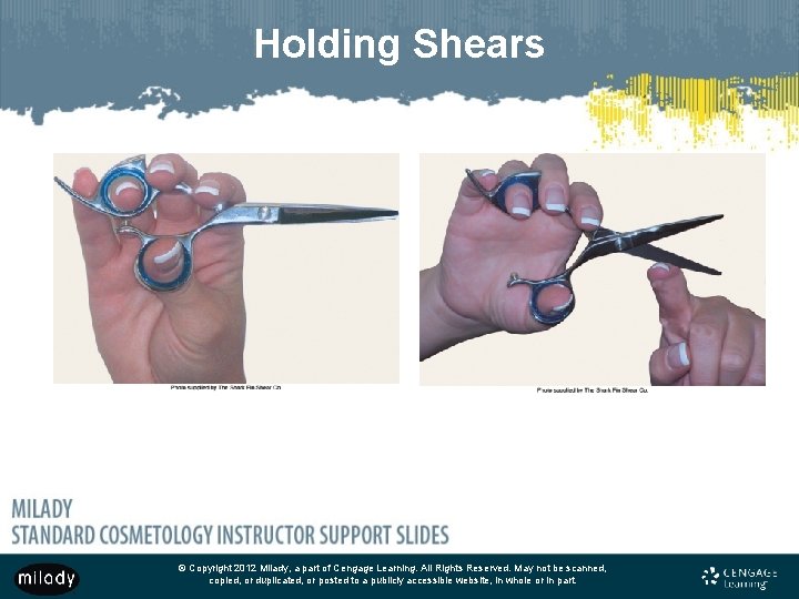 Holding Shears © Copyright 2012 Milady, a part of Cengage Learning. All Rights Reserved.