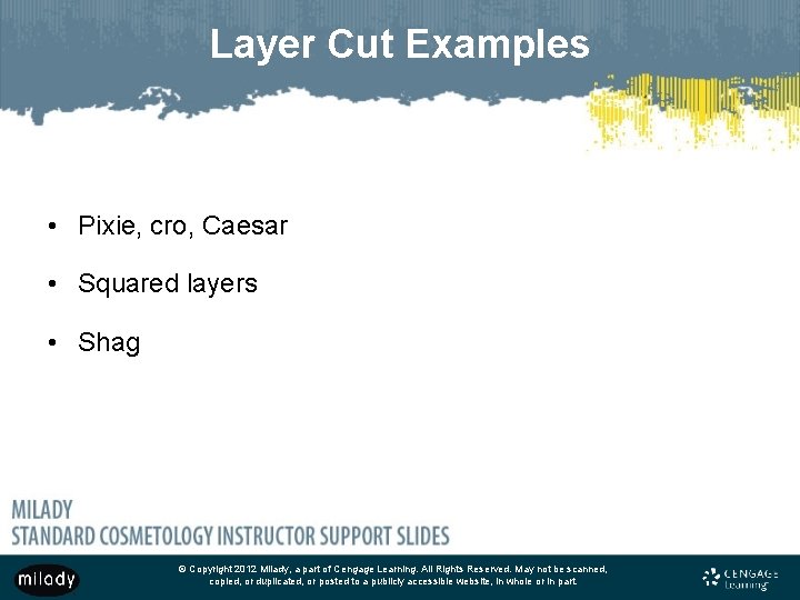 Layer Cut Examples • Pixie, cro, Caesar • Squared layers • Shag © Copyright