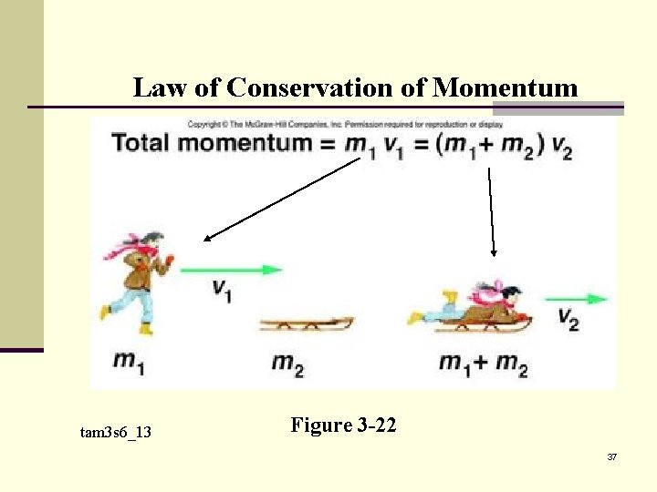 Law of Conservation of Momentum tam 3 s 6_13 Figure 3 -22 37 