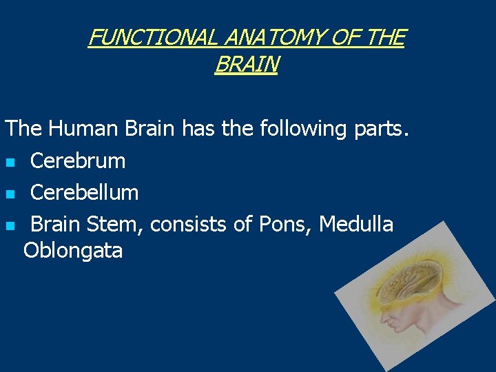 FUNCTIONAL ANATOMY OF THE BRAIN The Human Brain has the following parts. n Cerebrum