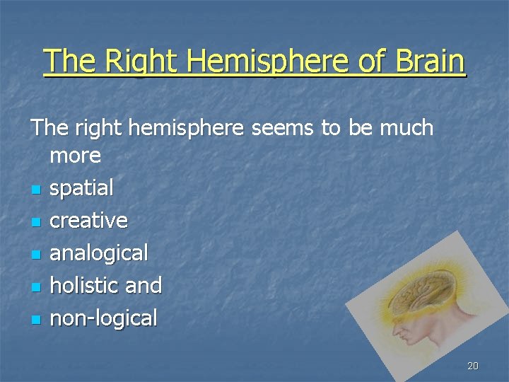 The Right Hemisphere of Brain The right hemisphere seems to be much more n