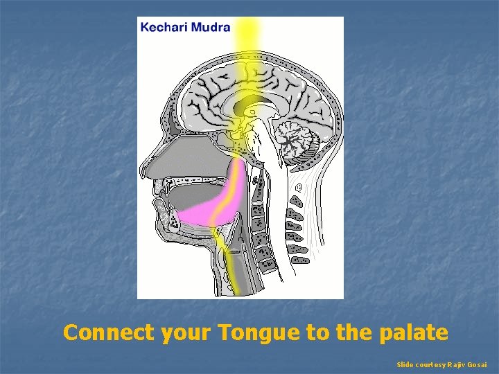 Connect your Tongue to the palate Slide courtesy Rajiv Gosai 