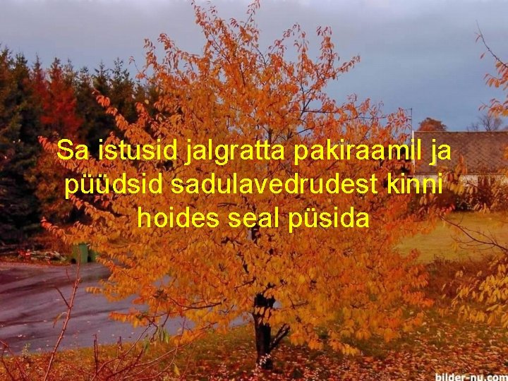 Sa istusid jalgratta pakiraamil ja püüdsid sadulavedrudest kinni hoides seal püsida 