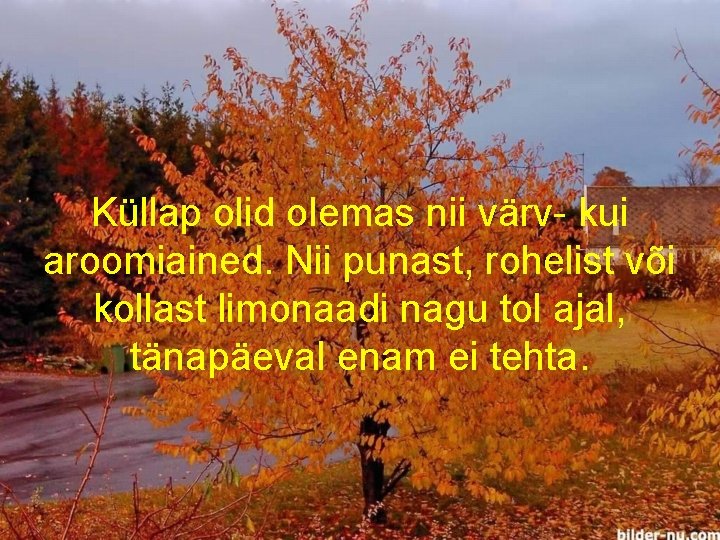 Küllap olid olemas nii värv- kui aroomiained. Nii punast, rohelist või kollast limonaadi nagu