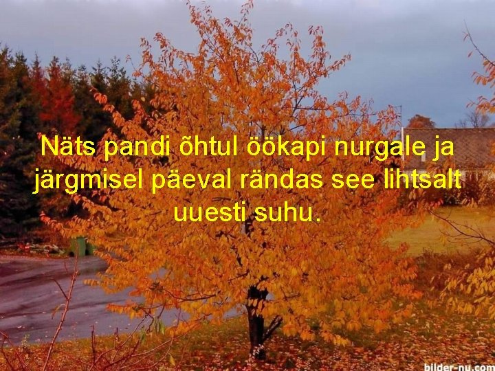 Näts pandi õhtul öökapi nurgale ja järgmisel päeval rändas see lihtsalt uuesti suhu. 