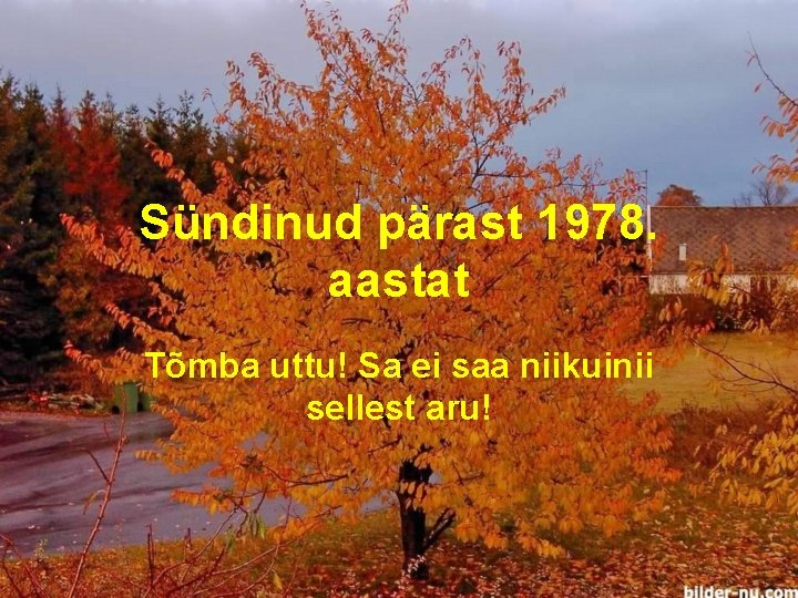 Sündinud pärast 1978. aastat Tõmba uttu! Sa ei saa niikuinii sellest aru! 