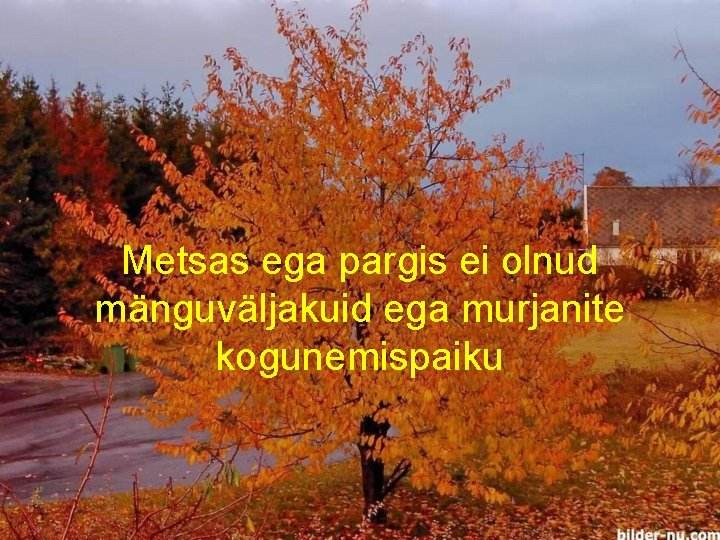 Metsas ega pargis ei olnud mänguväljakuid ega murjanite kogunemispaiku 