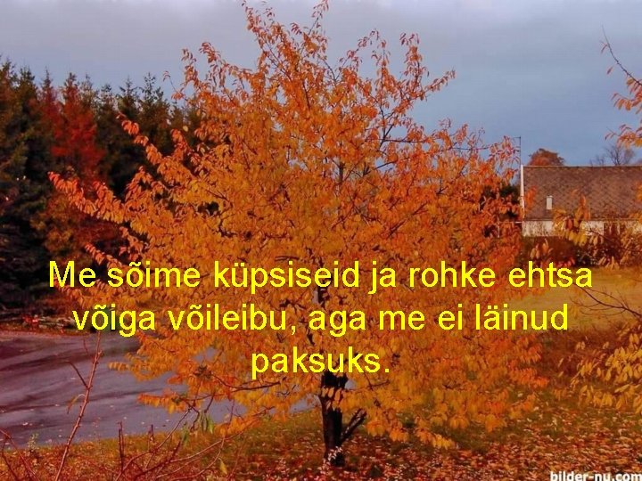 Me sõime küpsiseid ja rohke ehtsa võiga võileibu, aga me ei läinud paksuks. 