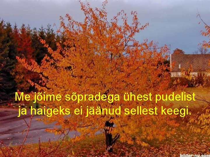 Me jõime sõpradega ühest pudelist ja haigeks ei jäänud sellest keegi. 