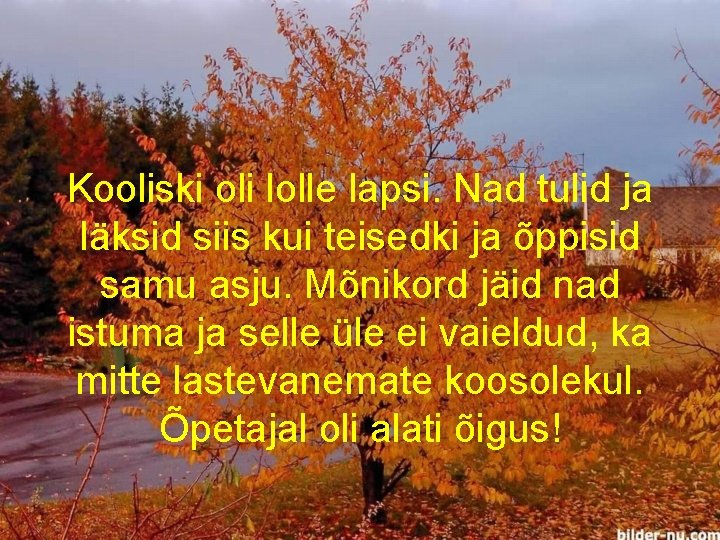 Kooliski oli lolle lapsi. Nad tulid ja läksid siis kui teisedki ja õppisid samu