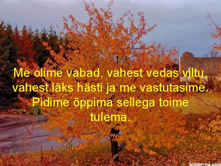 Me olime vabad, vahest vedas viltu, vahest läks hästi ja me vastutasime. Pidime õppima