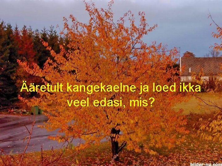 Ääretult kangekaelne ja loed ikka veel edasi, mis? 