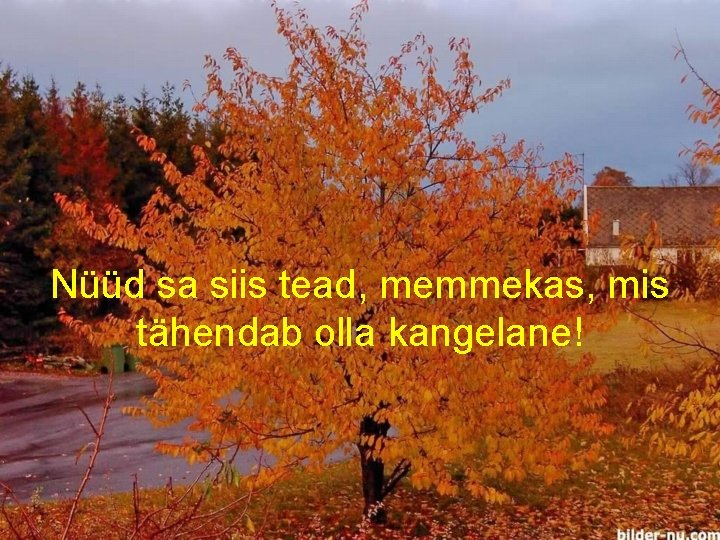 Nüüd sa siis tead, memmekas, mis tähendab olla kangelane! 