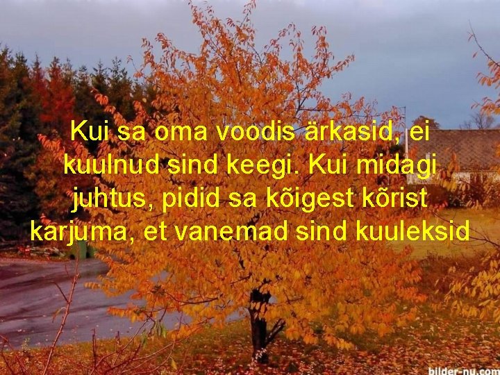 Kui sa oma voodis ärkasid, ei kuulnud sind keegi. Kui midagi juhtus, pidid sa