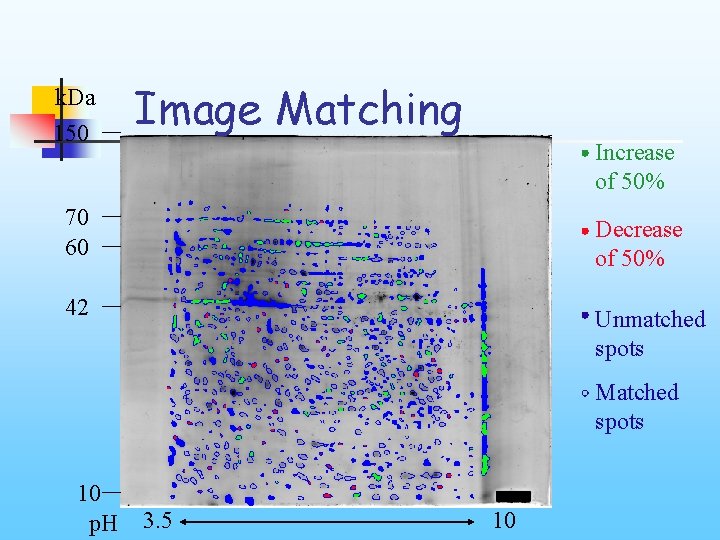 k. Da 150 Image Matching Increase of 50% 70 60 Decrease of 50% 42