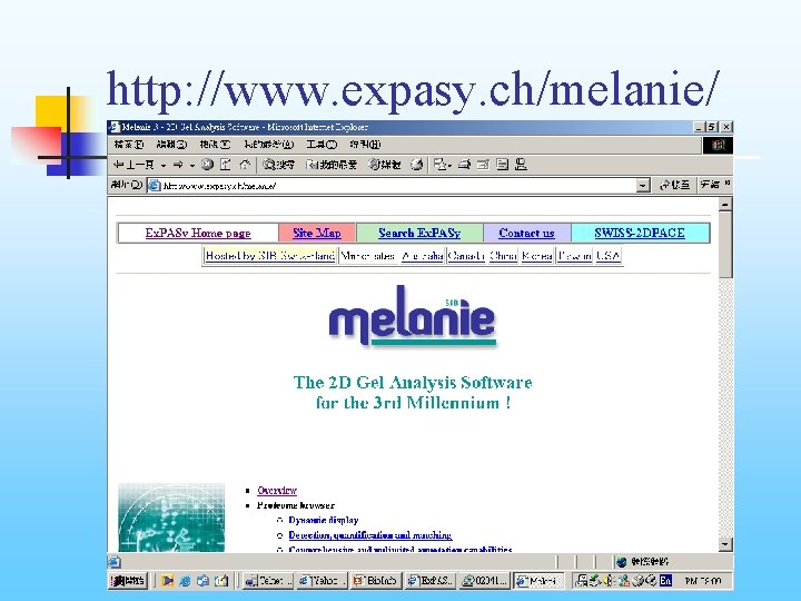 http: //www. expasy. ch/melanie/ 