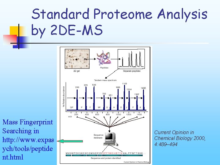 Standard Proteome Analysis by 2 DE-MS Mass Fingerprint Searching in http: //www. expas ych/tools/peptide