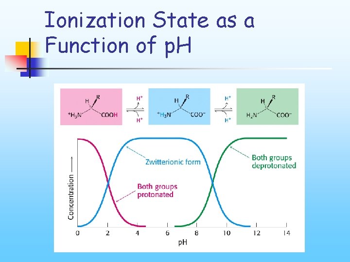 Ionization State as a Function of p. H 