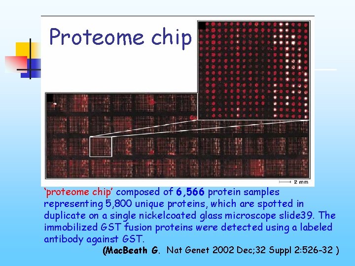 Proteome chip ‘proteome chip’ composed of 6, 566 protein samples representing 5, 800 unique