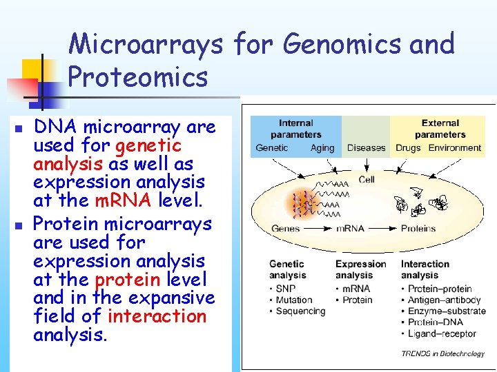 Microarrays for Genomics and Proteomics n n DNA microarray are used for genetic analysis