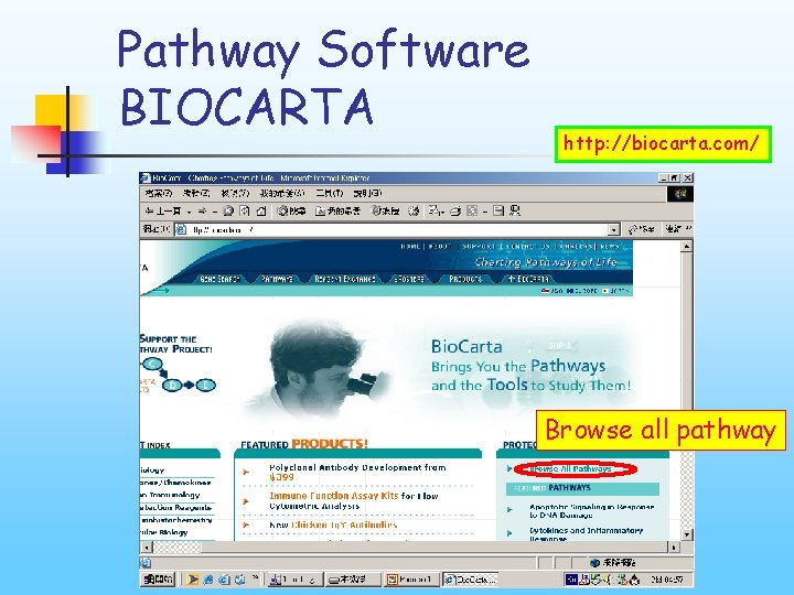 Pathway Software BIOCARTA http: //biocarta. com/ Browse all pathway 