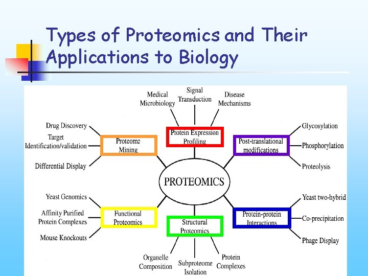 Types of Proteomics and Their Applications to Biology 