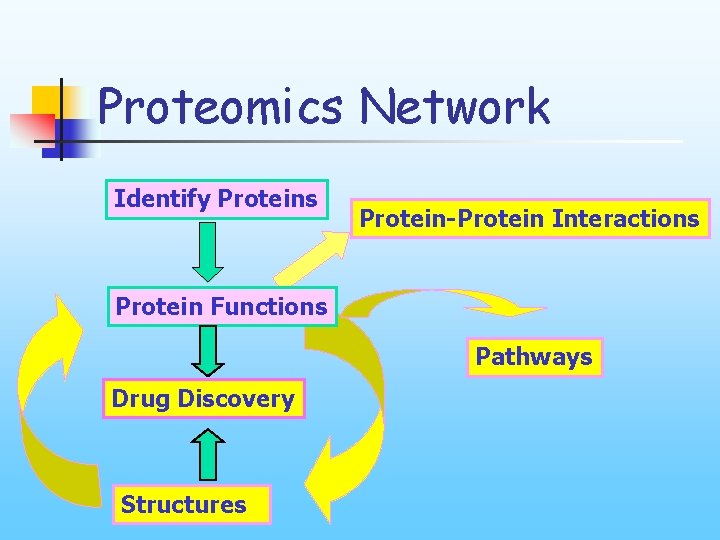 Proteomics Network Identify Proteins Protein-Protein Interactions Protein Functions Pathways Drug Discovery Structures 