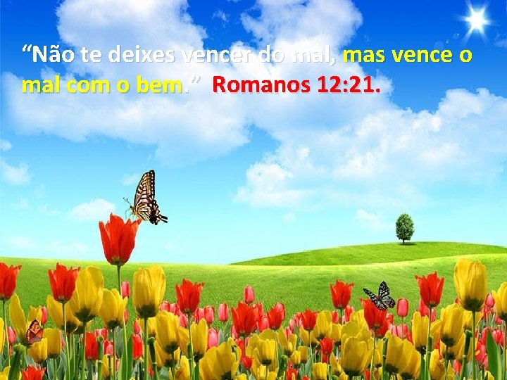 “Não te deixes vencer do mal, mas vence o mal com o bem. ”