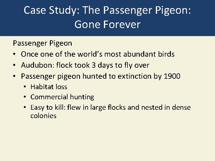 Case Study: The Passenger Pigeon: Gone Forever Passenger Pigeon • Once one of the